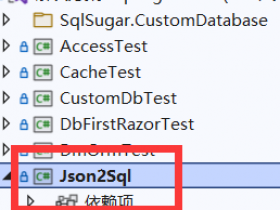 .NET6 开源之JSON 2  SQL  （JORM框架）