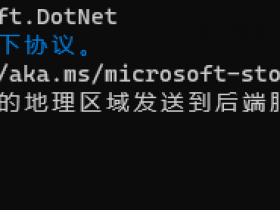 使用 Windows 包管理器 (winget) 安装 .Net
