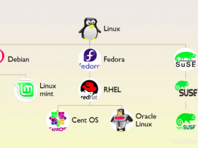 linux科普：如何标准的安装和升级软件