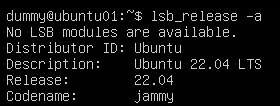 VMware 虚拟机图文安装和配置 Ubuntu Server 22.04 LTS 教程
