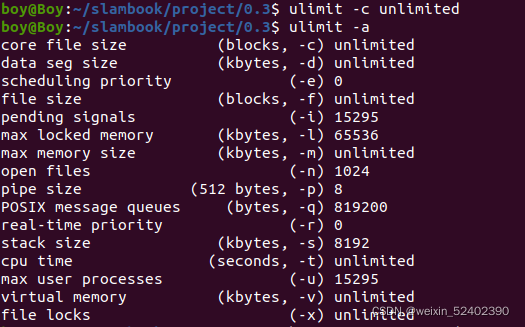 Ubuntu20.04出现段错误核心已转储问题解决方案