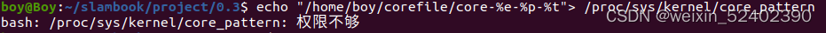 Ubuntu20.04出现段错误核心已转储问题解决方案