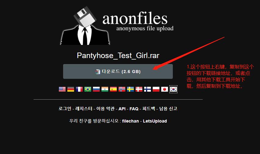 国外anonfiles网盘大文件下载器