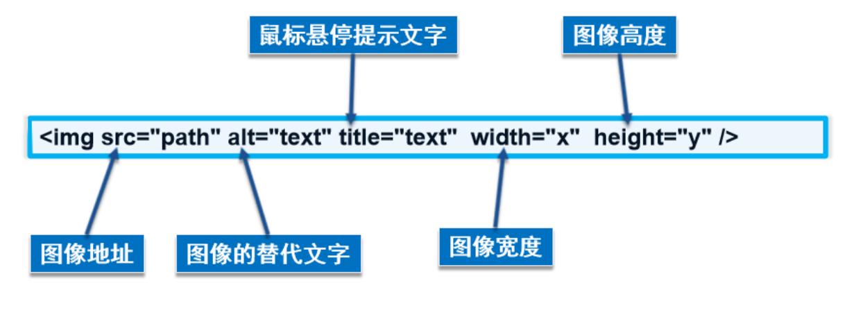 HTML基本结构与标签