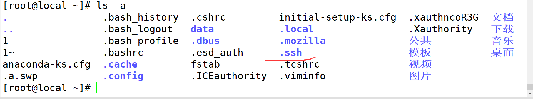 linux ssh远程登录
