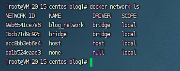 【.NET6 + Vue3 + CentOS7.9 + Docker + Docker-Compose + SSL】个人博客前后端运维部署