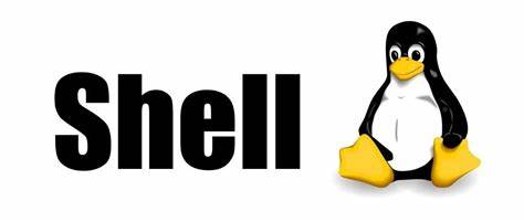 shell脚本文本处理工具